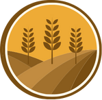 Widget Image